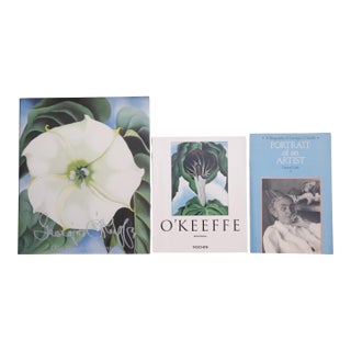 Georgia O'Keeffe Books, Set of 3 For Sale