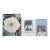 Georgia O'Keeffe Books, Set of 3 For Sale