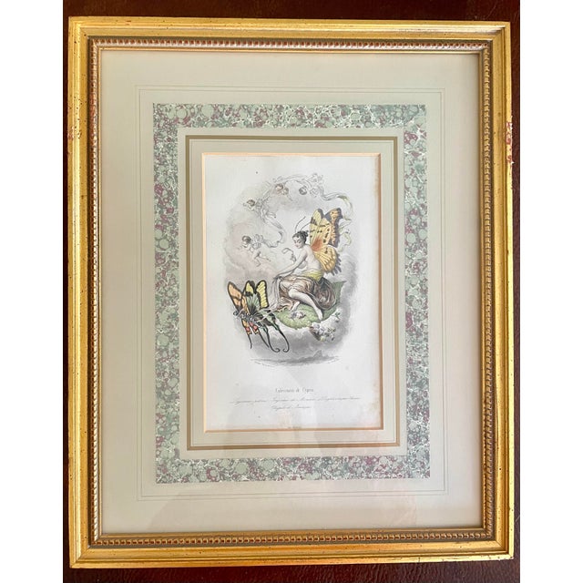 179-year-old hand-painted original lithographs by J.J. Grandville (1803-1847) Les Fleurs Animées Original Hand-Painted...