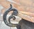 Vintage Ornate Cast Iron Garden Urn Planter With Scroll Handles & Aged Patina For Sale - Image 4 of 12