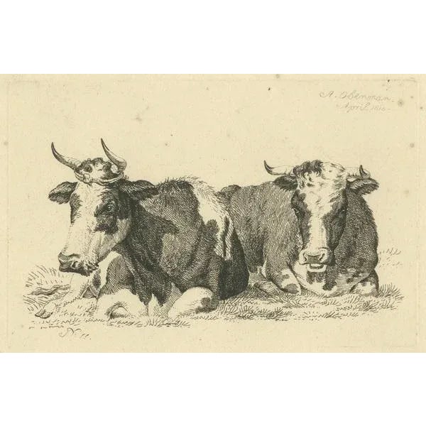 Anthony Oberman, Pastoral Scene with Two Resting Cows, 1810, Print For Sale - Image 6 of 8