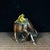 Vintage Gilt Bronze Buffalo With Boys Figure - Two Herders on Ox Sculpture For Sale In Los Angeles - Image 6 of 9