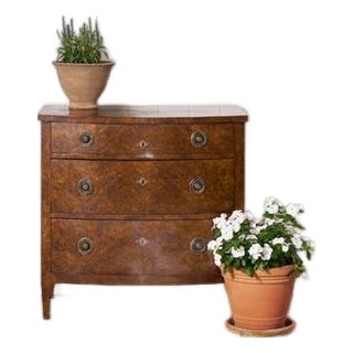 19th Century English Burl Veneered 3-Drawer Chest With Ring Pulls For Sale