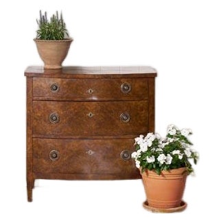 19th Century English Burl Veneered 3-Drawer Chest With Ring Pulls For Sale