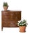 19th Century English Burl Veneered 3-Drawer Chest With Ring Pulls For Sale