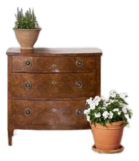 19th Century English Burl Veneered 3-Drawer Chest With Ring Pulls