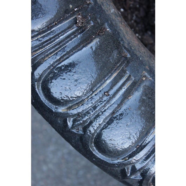Mid 20th Century Large Cast Iron Pair Of Garden Urn Planters For Sale - Image 5 of 18
