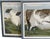 Custom Framed Hand-Embroidered English Country Needlepoints – Set of Four For Sale - Image 16 of 18