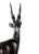 Vintage Hand-Carved Hardwood Gazelle Figurine For Sale - Image 6 of 7