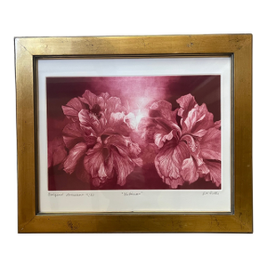 Signed Mezzoting by g.h. Rothe, Titled Hibiscus