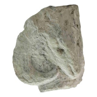 Sirio Pellegrini, Aries Head Sculpture, 1960s, Stone For Sale