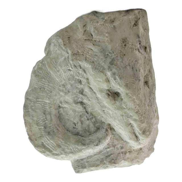 Sirio Pellegrini, Aries Head Sculpture, 1960s, Stone For Sale
