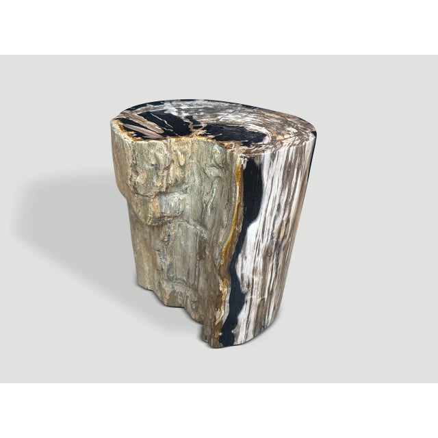 Andrianna Shamaris Impressive Ancient Petrified Wood Side Table For Sale - Image 4 of 4