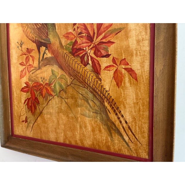 Wood Vintage Pheasant Framed Art Roger Tory Peterson Cottage English Study Decor For Sale - Image 7 of 18