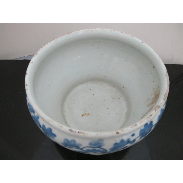 Chinese Blue Porcelain Peonies Scroll Cache Spittoon Planter Pot Bowl For Sale In Portland, OR - Image 6 of 9
