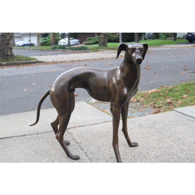 Vintage Bronze Greyhound Whippet Dog Statue Sculpture Figurine A Pair Chairish
