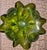 Mid 20th Century Vintage Murano Glass Bowl Barovier Toso Flower Console Dish For Sale - Image 5 of 5