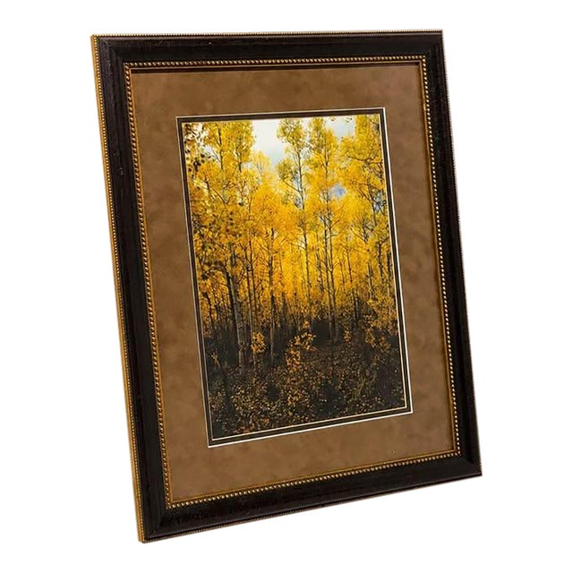 Framed Autumn Forest Print With Yellow Trees For Sale