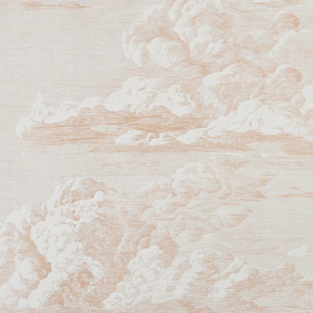 Sample - Schumacher Cloud Toile Wallpaper in Blush Gold For Sale