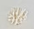 Late 20th Century Natural Pacific Elkhorn Coral Specimen For Sale - Image 5 of 8
