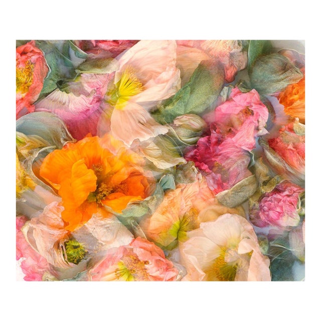 Pastel Color Abstract Poppies For Sale