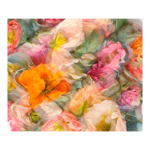 Pastel Color Abstract Poppies