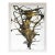 Deer Tree - Fran Bull, C. 2003 For Sale