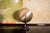 Italian 1960s Aluminum and Cast Iron Table Lamp For Sale - Image 6 of 6
