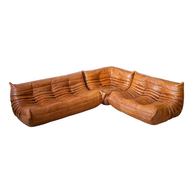 Pine Leather Togo Corner Chair with Two- and Three-Seat Sofas by Michel Ducaroy for Ligne Roset, Set of 3 For Sale