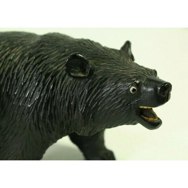 19th Century Black Forest Carved Wood Figurine of a Bear With Glass Eyes For Sale - Image 9 of 13
