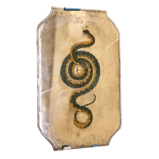 Green Yellow Snake For Sale