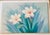 American oil on canvas floral painting of two large white petals Floweers signed R Francis, cca 1970. On a stretcher.