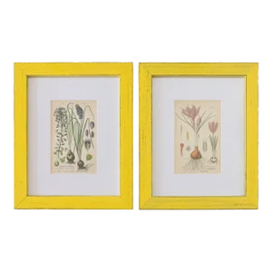Custom Framed Antique Floral Botanical Engravings - Set of Two
