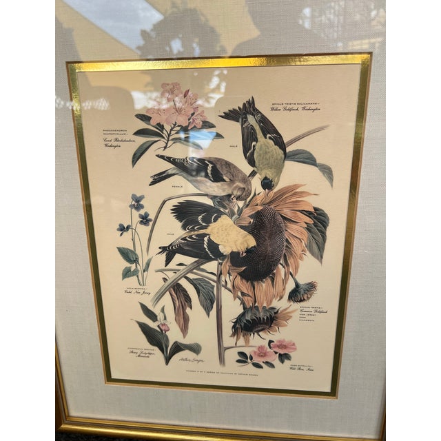 Native American Mid Century Pair of Framed Audubon Bird & Flower Prints Signed Arthur Singer -2 For Sale - Image 3 of 10