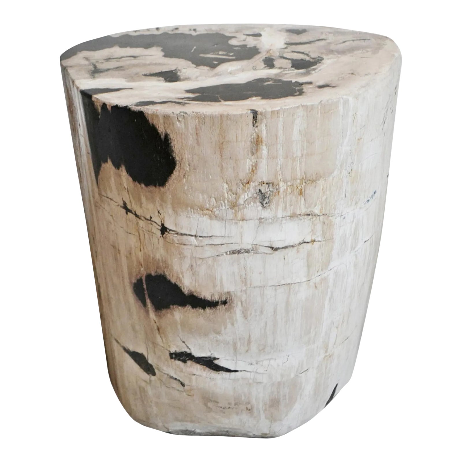 Petrified Wood Stump Side Table Chairish