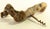 1960's Grapevine Corkscrew From Reine Pedauque Vineyard in Beaune, France For Sale In Houston - Image 6 of 12