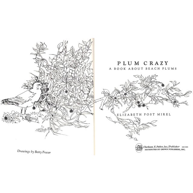 Traditional "Plum Crazy: A Book About Beach Plums" 1973 Mirel, Elizabeth Post For Sale - Image 3 of 10