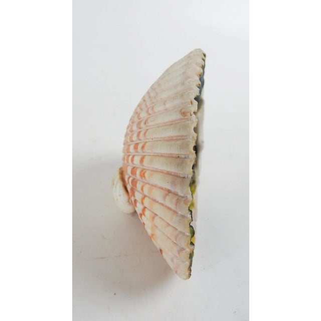 Vintage Mid 20th Century Hand Painted Sea Shell Souvenir Port Angeles Washington For Sale - Image 4 of 6