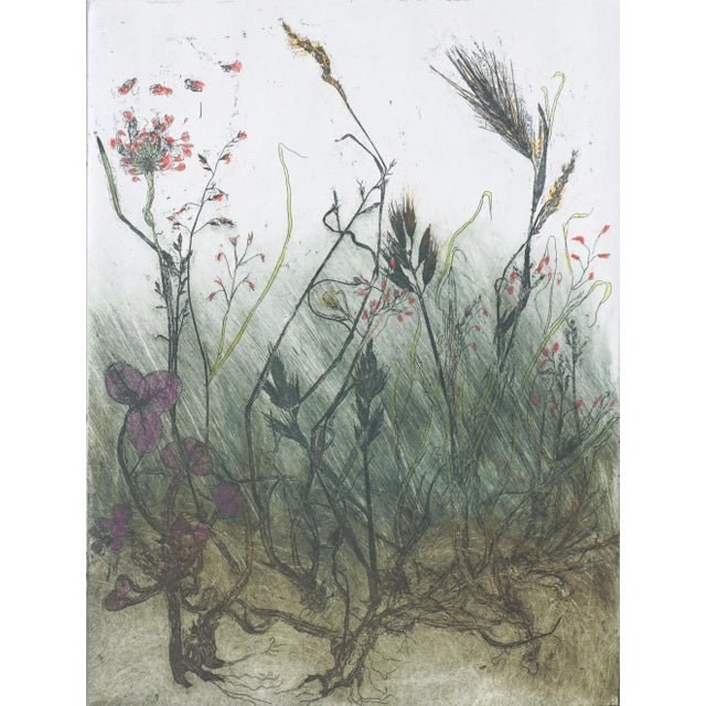 Floral study etching titled "Weeds" by W. Payot (American, 20th century), 1983. Titled, signed, and dated lower edge....
