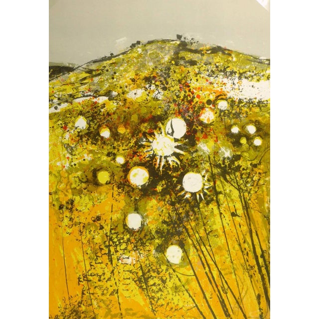 French Lithograph - Multiple Toned Yellow Sunflower Field For Sale