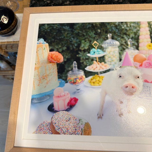 Wood Gray Malin Picnic Party II Photograph For Sale - Image 7 of 12