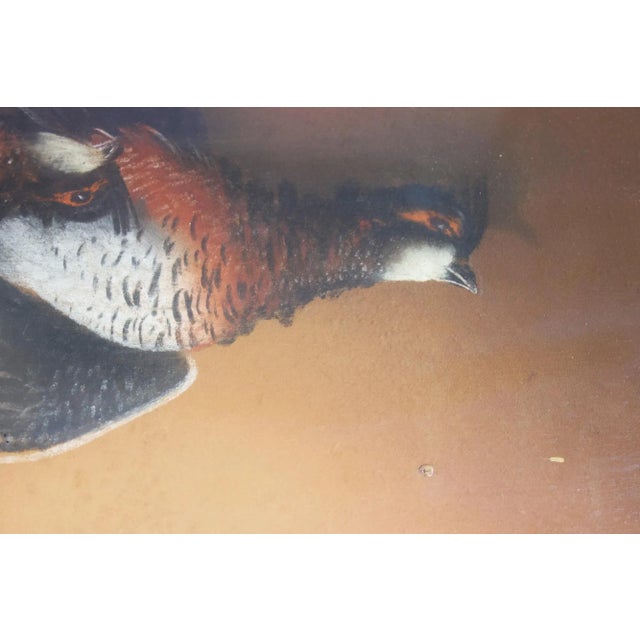 Antique Chromolithograph of Hanging Gamebirds For Sale - Image 9 of 11