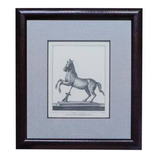 Herculaneum Equestrian Horse Print After Carlo Nolli 1970s Framed 2 of 2 For Sale