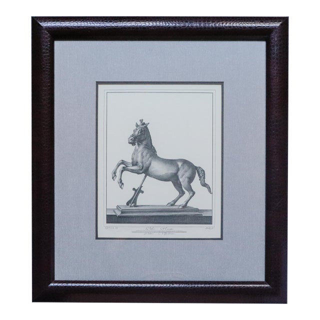 Herculaneum Equestrian Horse Print After Carlo Nolli 1970s Framed 2 of 2 For Sale