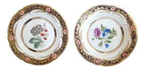 Pair of Spode Botanical Plates Pattern 2789