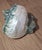 Up for sale is a truly exceptional, collector-grade specimen of a Giant Green Turban Sea Shell (Turbo marmoratus), sourced...