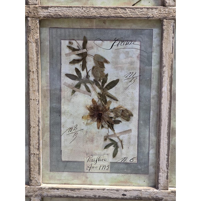 Decorative Panel with Framed Botanical Composition, 1920s For Sale - Image 9 of 14
