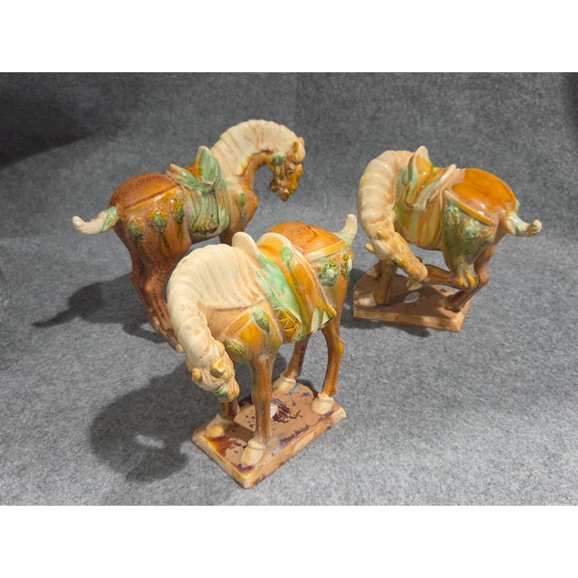 Mid-Century Modern Trio of Chinese Tang Dynasty Style Sancai Glazed War Horses For Sale - Image 3 of 18