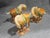 Mid-Century Modern Trio of Chinese Tang Dynasty Style Sancai Glazed War Horses For Sale - Image 3 of 18