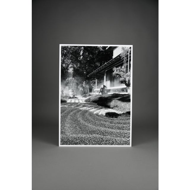 Early 21st Century Taco, Monochrome Hase-Dera Temple, Kamakura, Kanagawa, 2024, Archival Pigment Print For Sale - Image 5 of 10